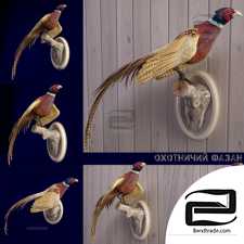 PHEASANT PHEASANT