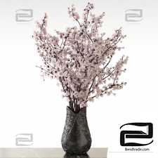 Bouquet Bouquet Sakura in a vase