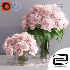 Bouquet Bouquet pastel pink peonies