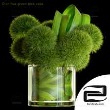 Bouquet Bouquet Dianthus green trick vase