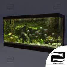 Aquarium Aquarium 33