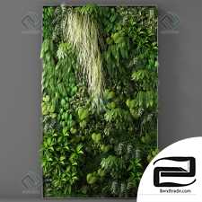 vertical garden phytostenes 33