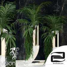 Indoor Plant Visionnaire