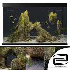 Aquarium with rocks and moss