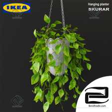 ikea skurar hanging planter plants