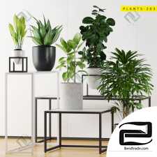 PLANTS PLANTS 120