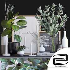 Decorative set with ficus and eucalyptus Decor set with ficus and eucalyptus 118