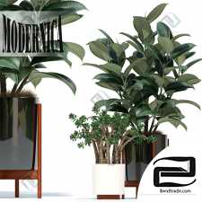 Modernica pots plant collection