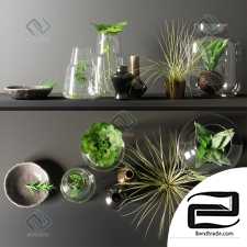 Decorative set Decor set with plants 21