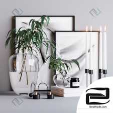 Decorative set with eucalyptus Decor set with eucalyptus 14