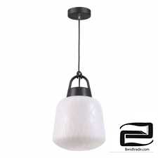 Landscape suspension Novotech 370601 Conte