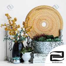 Decorative set Decor set with indoor plants 05