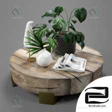 Decorative set Decor set Monstera and dracena