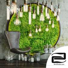 Decorative set Decor set with moss and lamps