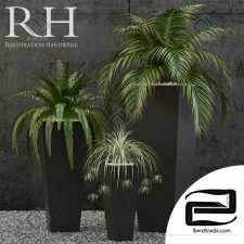 Plants Restoration Hardware salento tapped planter