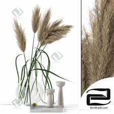 Decorative set Decor set Grass in round vase