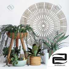 Decorative set Decor set with indoor plants