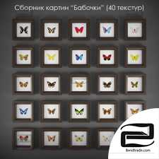 Butterfly Paintings