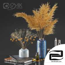 Decorative set of Dry plant