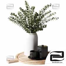 Decorative set Bouquet of eucalyptus in a white vase