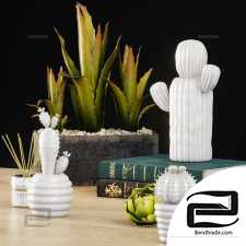 Cactus decorative set