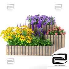 Flowerbed with flowers