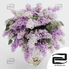 Bouquet of lilac in a glass vase