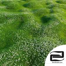 Grass lawn 02