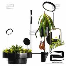 Plant Set Whit Lights