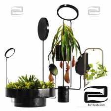 Plant Set Whit Lights