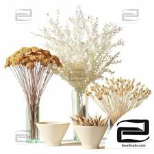 Bouquets of dried flowers in glass vases - set 2