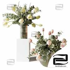 Bouquets of eucalyptus and tulips in glass vases