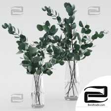 Two bouquets of eucalyptus twigs