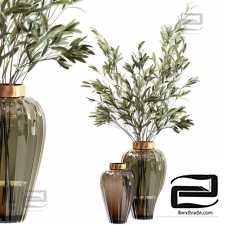 Olive stems in zara glass vase with water