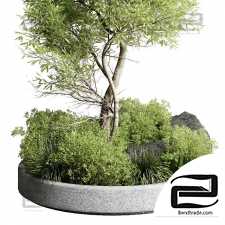 Collection outdoor indoor 85 pot plant & tree & bush