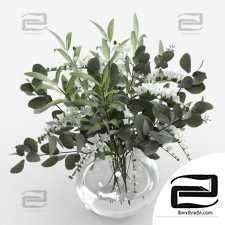 Bouquet of olive and eucalyptus branches