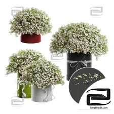 A bouquet of Gypsophilus in a hatbox