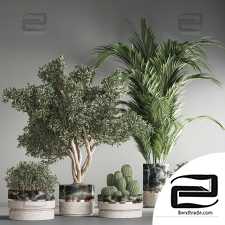 indoor plant set25
