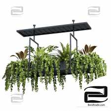 Indoor Hanging plants 38