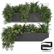 Indoor Hanging Plants 03