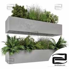 Hanging Plants Set