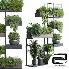 Standing metal shelf with a set of plants