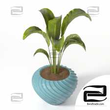 Indoor Plants set 1102