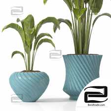 Indoor Plants set 1102