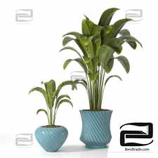 Indoor Plants set 1102