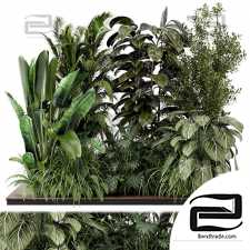 Outdoor plants 505