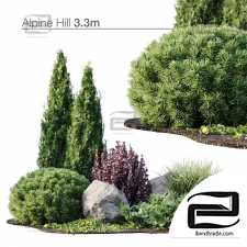 Outdoor plants 745