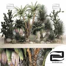 Outdoor plants 896