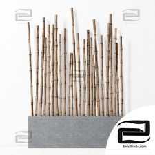 Bamboo decor big fundament