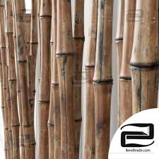 Bamboo on a river stone base / Bambooo decor foundation river stone